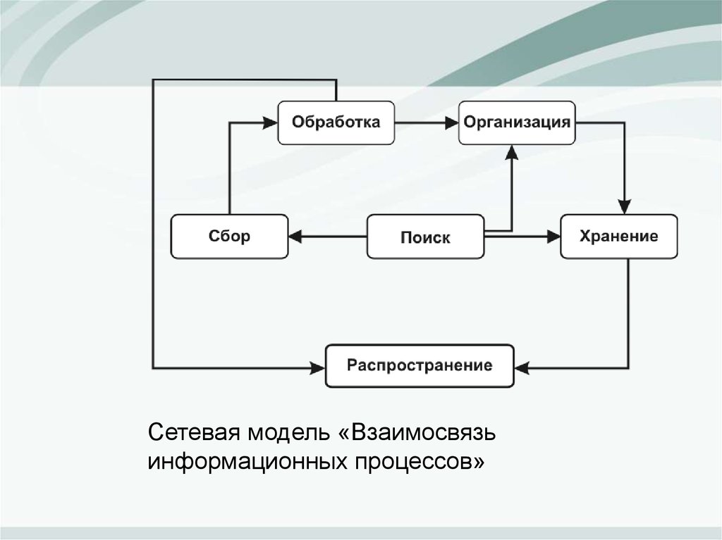 Сетевой процесс. Взаимосвязь информационных процессов. Информационная модель взаимосвязанана. Модель взаимосвязи. Сетевая модель памяти.