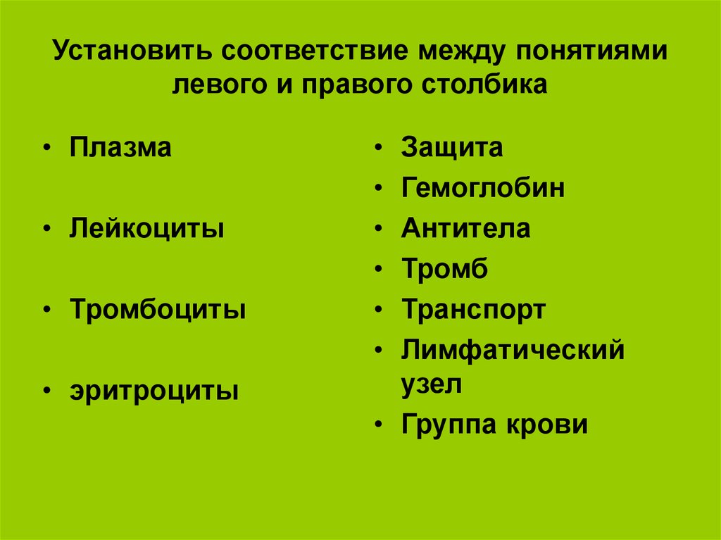 Установите соответствие между органами