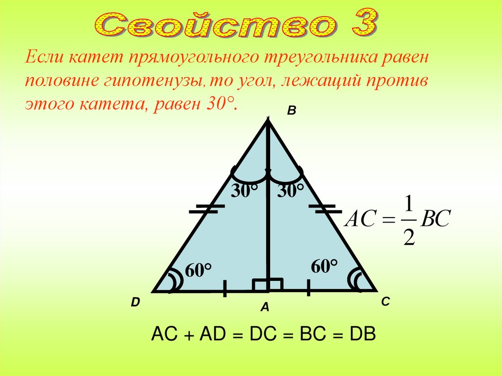 Катеты пря