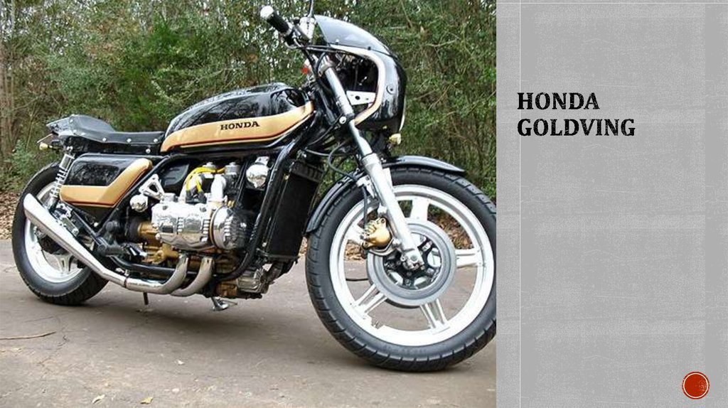 Honda goldving