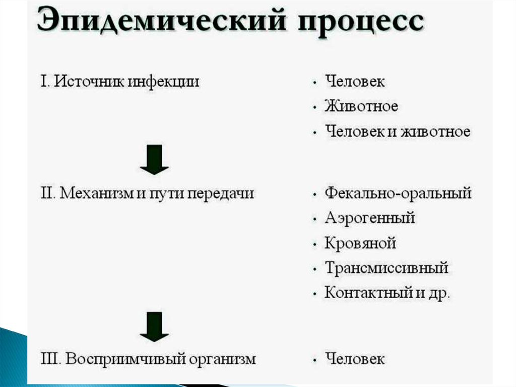 Компоненты процесса источник. Три звена эпидемического процесса схема. Эпидемический процесс структура эпидемического процесса. Звенья эпидемического процесса схема. Эпидемический процесс схема.