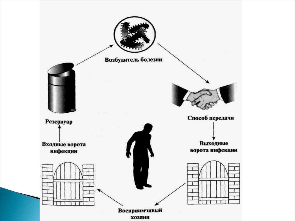 Входные ворота инфекции. Самым распространенным резервуаром возбудителей ВБИ В ЛПУ являются. Понятие входные ворота инфекции. Резервуары ВБИ. Пути передачи инфекции входные ворота.