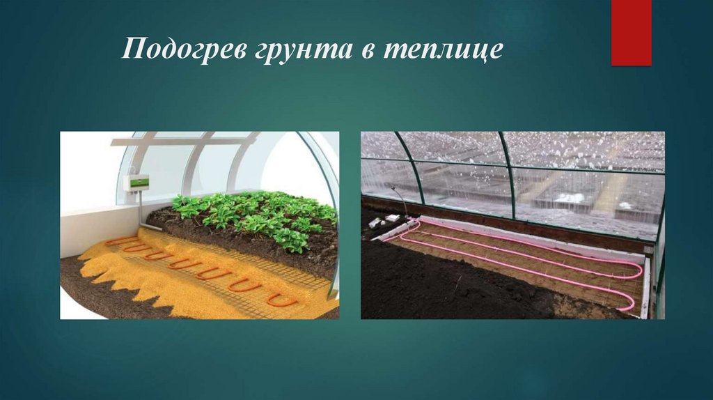 Инновационные технологии создания газонов - online presentation