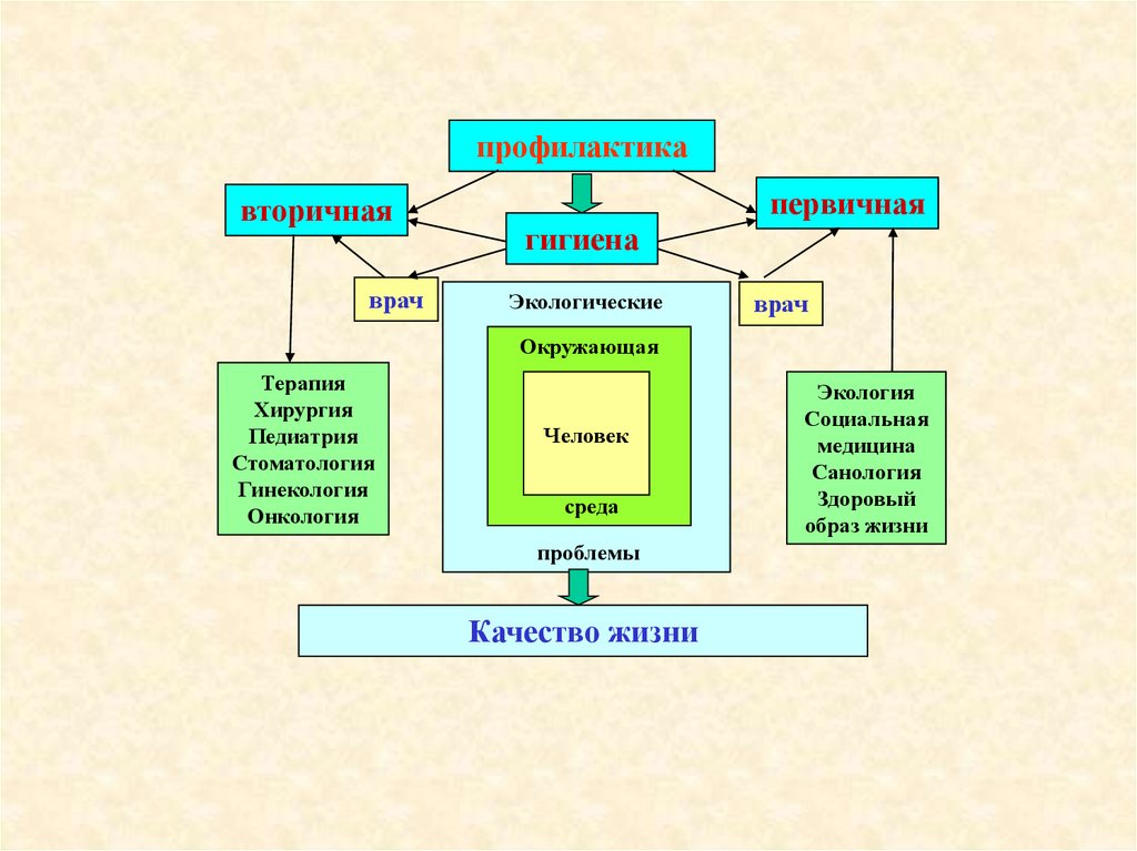 Основы экологии презентация