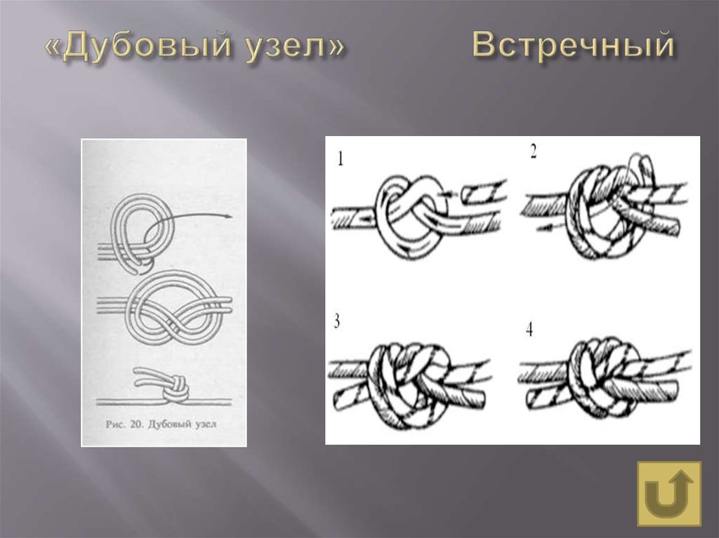 Дубовая петля узел схема