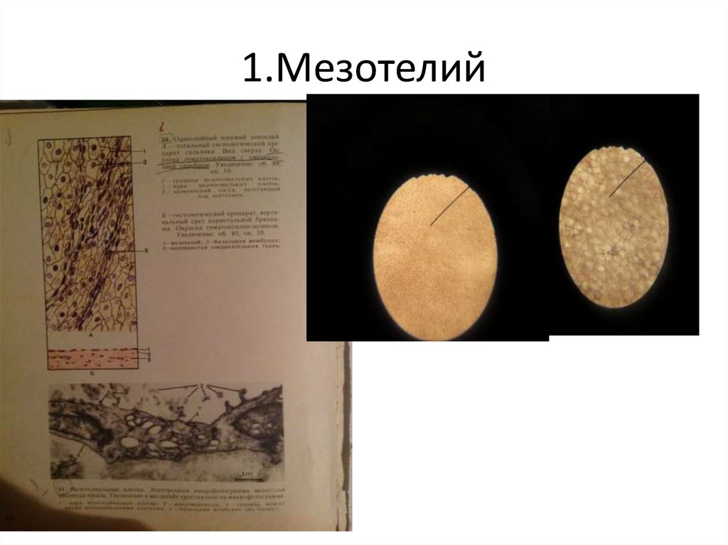 Диагностика - презентация онлайн
