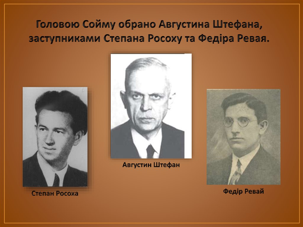 Головою Сойму обрано Августина Штефана, заступниками Степана Росоху та Федіра Ревая.