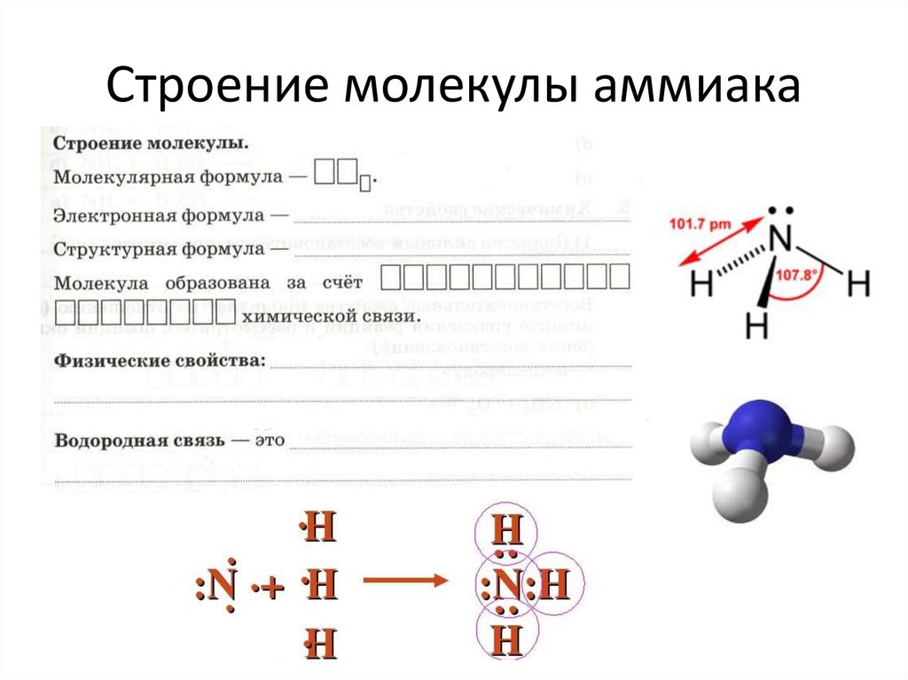 Электронные формулы молекул. Схема образования молекулы аммиака nh3. Строение молекулы аммиака формула. Структурное строение аммиака. Электронная схема молекулы аммиака.