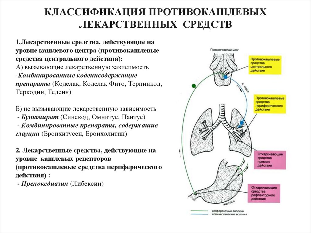 Противокашлевые препараты презентация