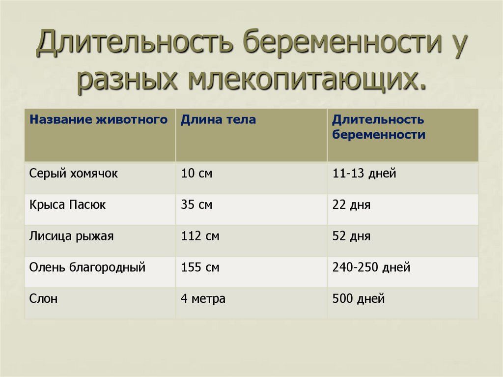 Периодизация и продолжительность жизни животных 7 класс презентация латюшин