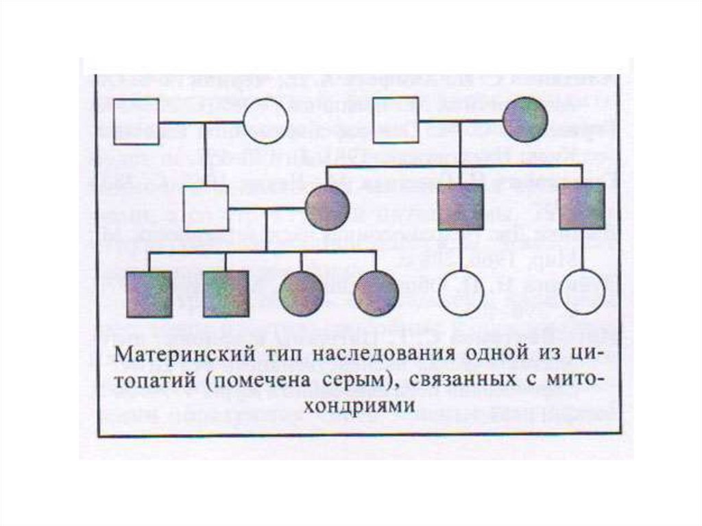 Типы матов