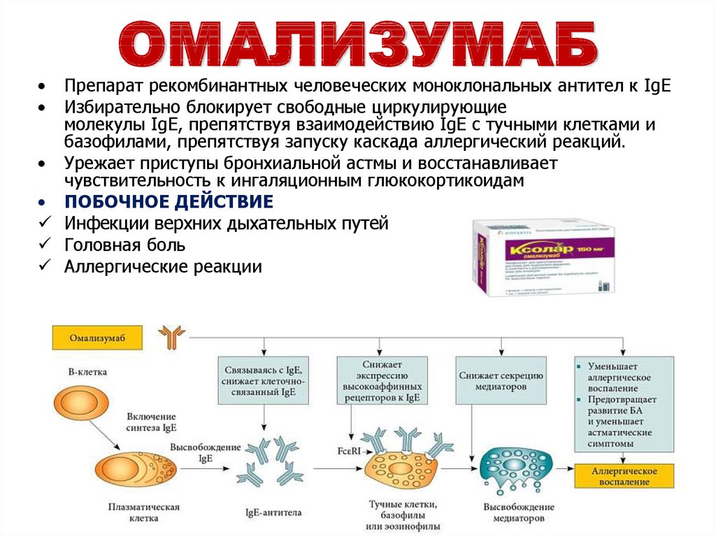 После лекарств. Артлегиа олокизумаб. Омализумаб препарат генной. Препараты моноклональных антител механизм действия. Моноклональные антитела олокизумаб.