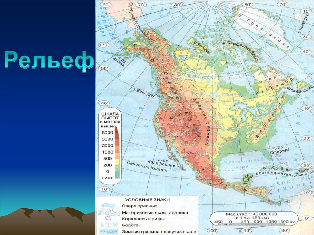 Какое утверждение правильно характеризует рельеф северной америки. Карта рельефа Северной Америки 7 класс. Горы равнины вулканы Северной Америки на карте. Низменности равнины горы Северной Америки на карте. Формы рельефа Северной Америки на контурной карте 7 класс география.