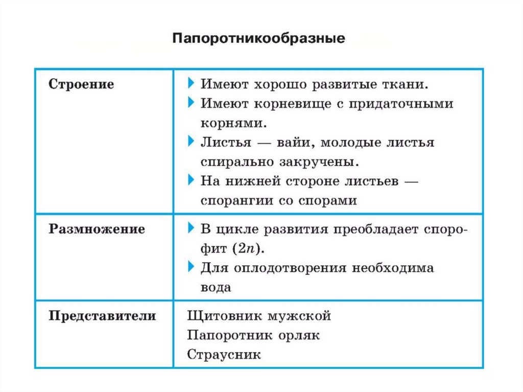 Мхи и папоротники таблица. Сравнительная характеристика мохообразных и папоротникообразных.. Мохообразные и Папоротникообразные сходства и различия. Сравнительная характеристика моховидных и папоротниковидных. Папоротники и мхи сходства и различия.