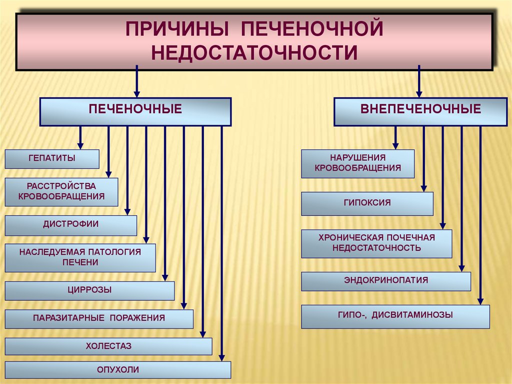 Виды печеночной недостаточности