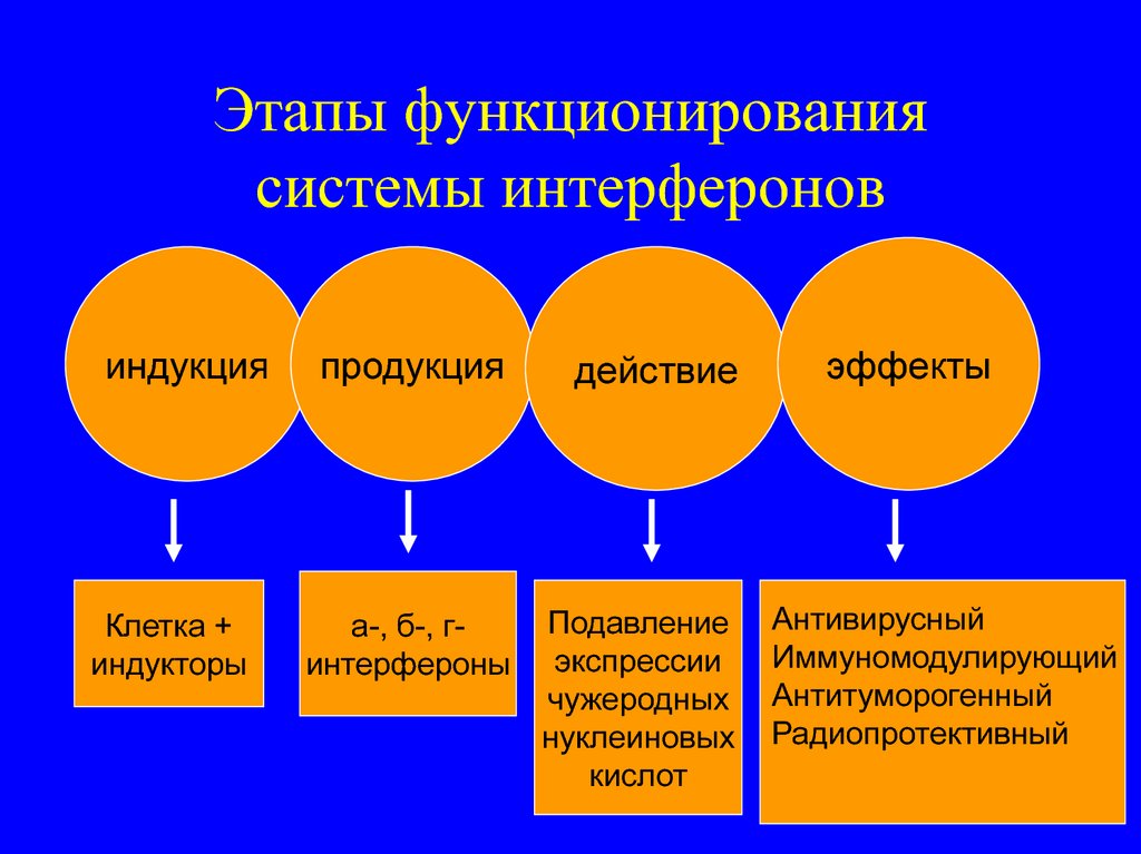 Интерфероны презентация иммунология