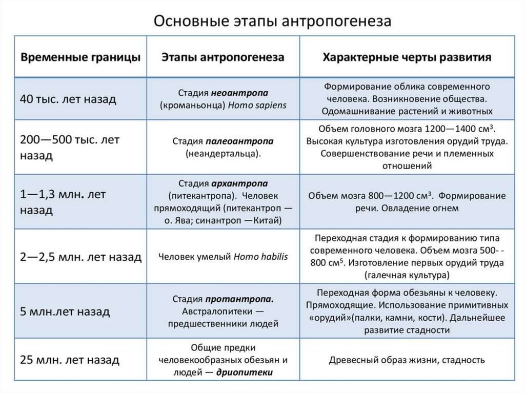 Презентация становление личности 8 класс биология