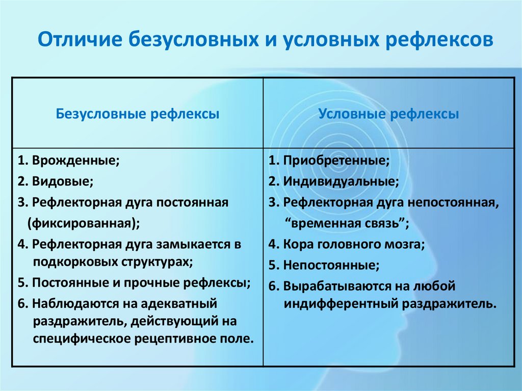 Примеры условных и безусловных рефлексов