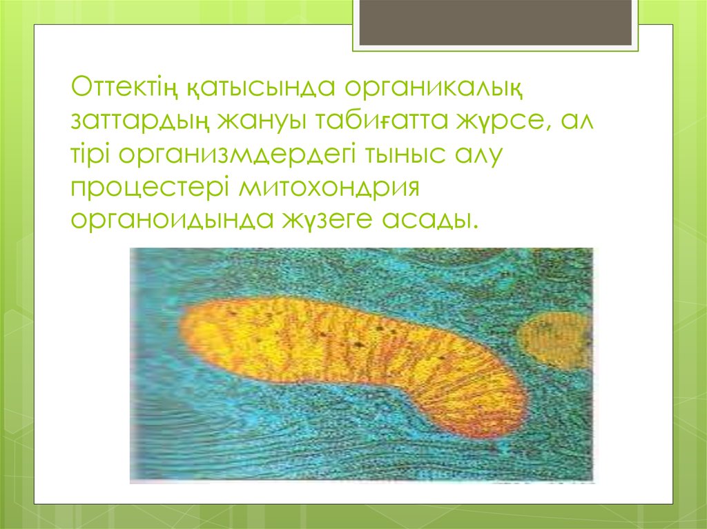 Оттектің қатысында органикалық заттардың жануы табиғатта жүрсе, ал тірі организмдердегі тыныс алу процестері митохондрия
