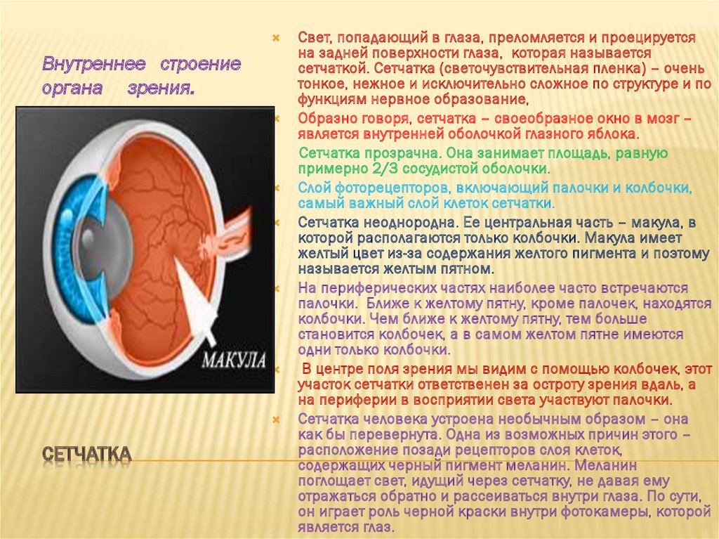 Зрение и освещение презентация