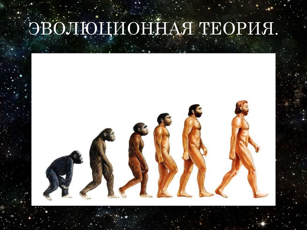 Первой эволюционной теорией является. Эволюционная теория. Эволюционное учение. Эволюционистская теория. Эволюционная теория картинки.