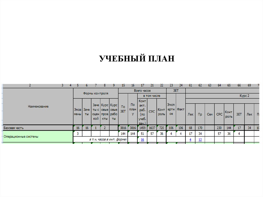 Универсальный профиль учебного плана 2024 2025. Учебный план.