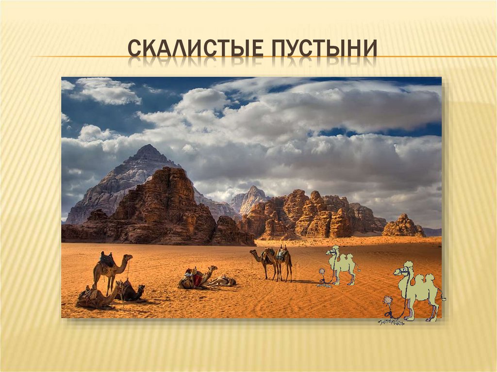 Виды пустынь. Общий вид пустынь. Какие есть виды пустыни. Виды пустыни презентация.