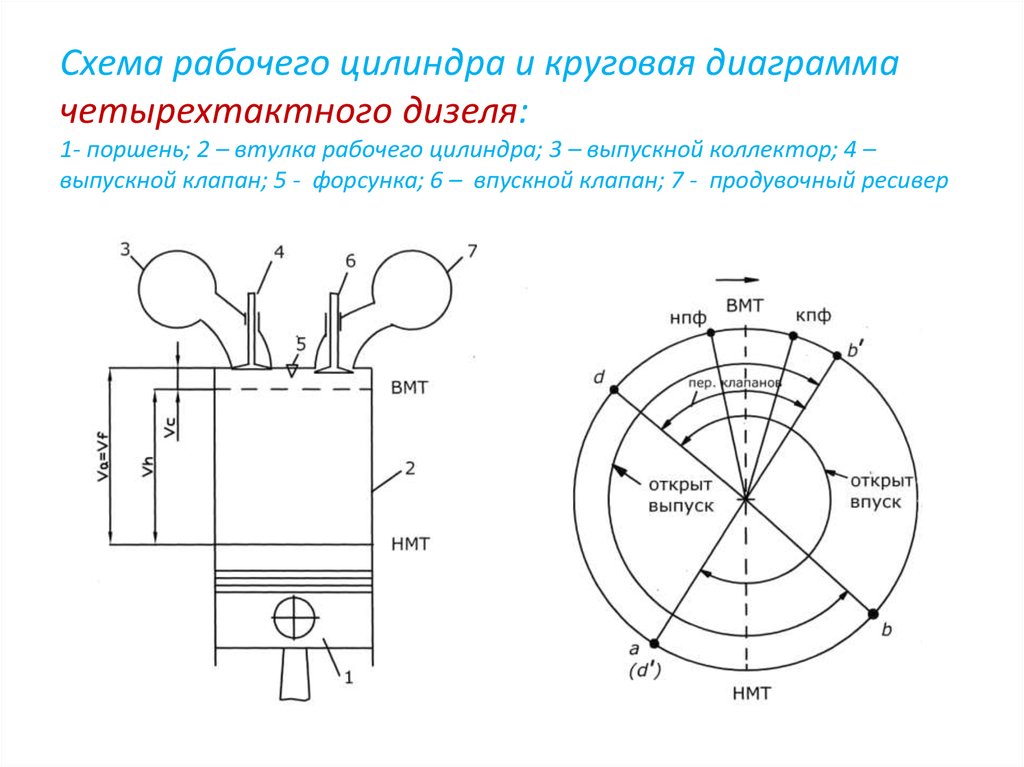 Круговая диаграмма четырехтактного двигателя