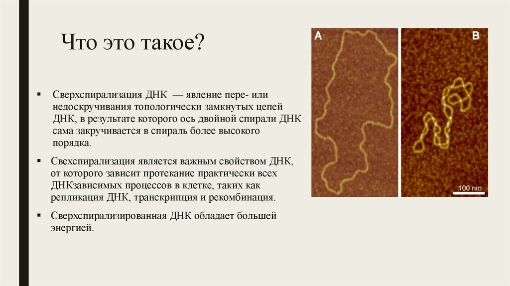 Что это такое?