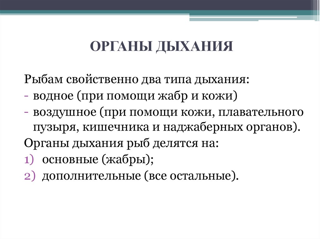 Дыхание рыб. Дыхательная система у рыб проект. Дыхательная система рыб презентация 4 класс. Особенности дыхательного аппарата рыбы. Тип дыхания у рыб.