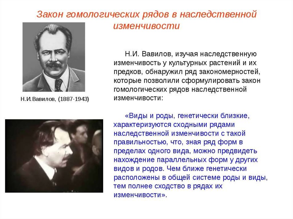 Закон гомологических рядов наследственной изменчивости. Закон гомологичных рядов наследственной изменчивости Вавилова. Закон гомологических рядов наследственной изменчивости н.и Вавилова. Закон Вавилова о гомологических рядах наследственной изменчивости. Закон н.в.Вавилова о гомологичных рядах наследственной изменчивости..