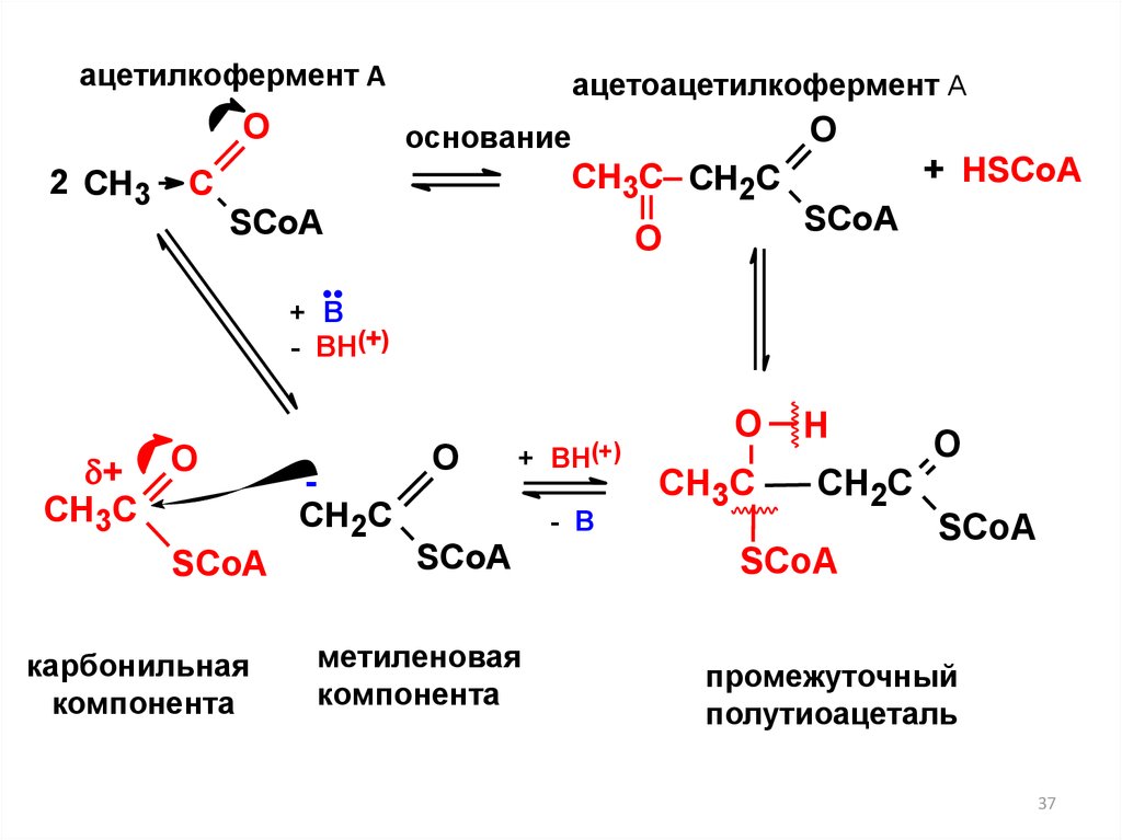 Согласованные реакции в органической химии. Реакционная способность органических соединений. Формула базового метаболизма. Электрофильные реакции в органической химии.