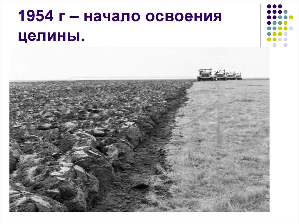 Начало освоения целины дата. Целина в Казахстане 1954. 1954 Освоение целины. Целина освоение целинных земель Казахстан. Целина 1954 Хрущев.