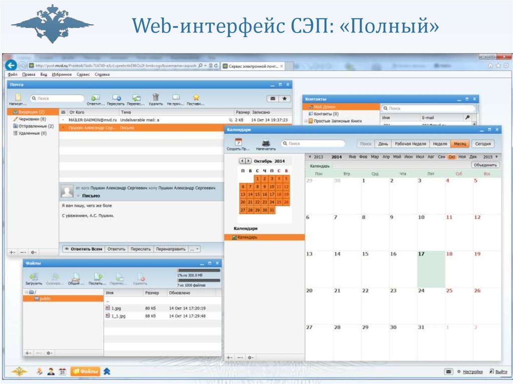 Портал сэп. Web Интерфейс. Система МВД Интерфейс. Медицинская информационная система web Интерфейс. СЭП МВД.