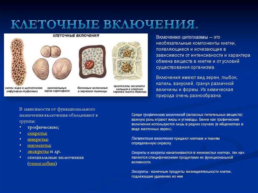 Запасные вещества клетки растений. Строение клеточных включений и их функции. Включения растительной клетки таблица. Клеточные включения особенности строения. Включения клетки строение и функции.