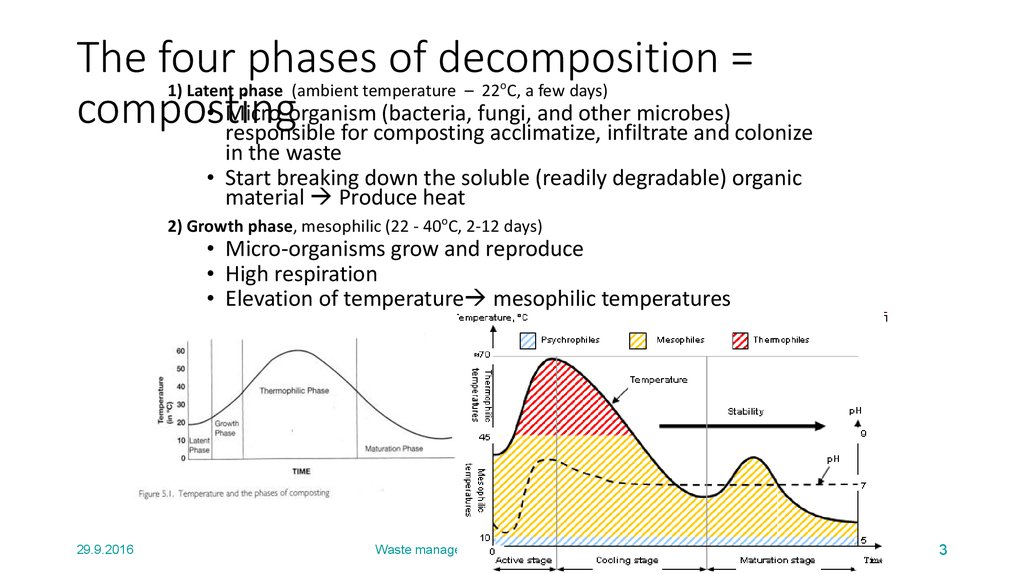 The four phases of decomposition = composting