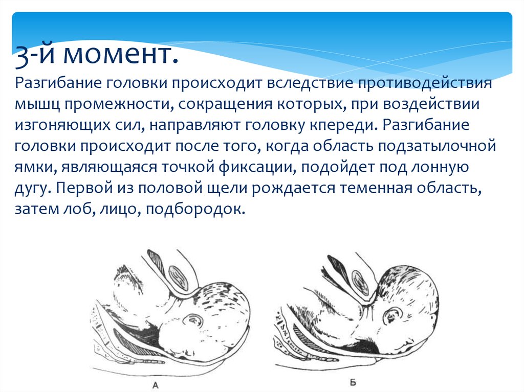 Биомеханизм родов при заднем виде затылочного предлежания презентация