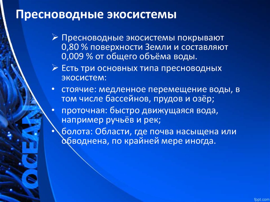 Существует три основных. Пресноводные экосистемы. Особенности пресноводных экосистем. Пресноводные биогеоценозы. Лимитирующие факторы в пресноводных экосистемах.