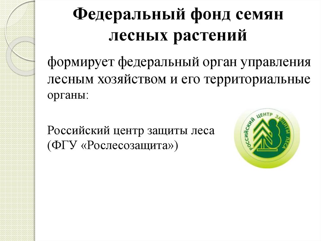 Федеральный фонд лесных семян. Оценка качества семян лесных растений. Лесное семеноводство.