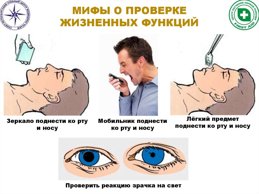 Проверить реакцию