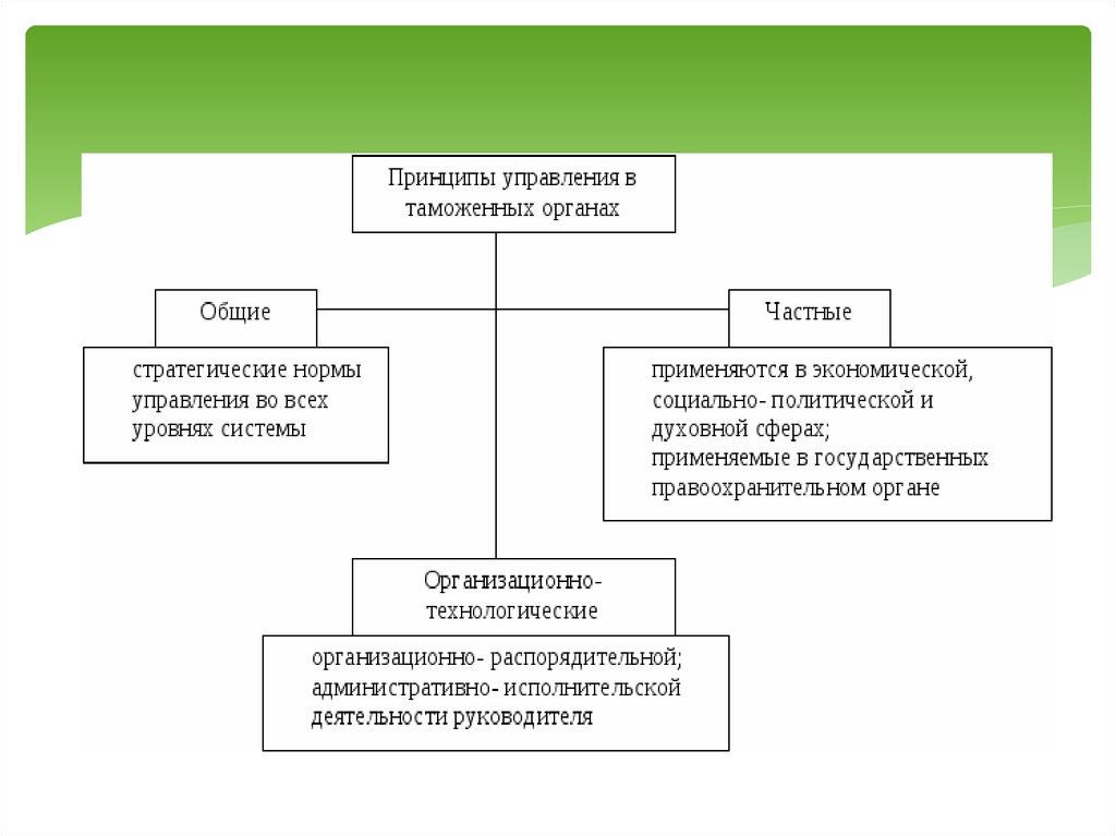 Организационная структура таможенных органов презентация