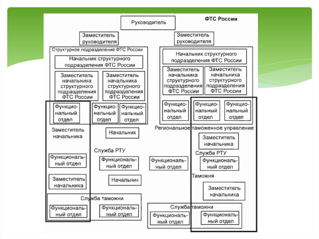 Структура таможенных органов рф схема