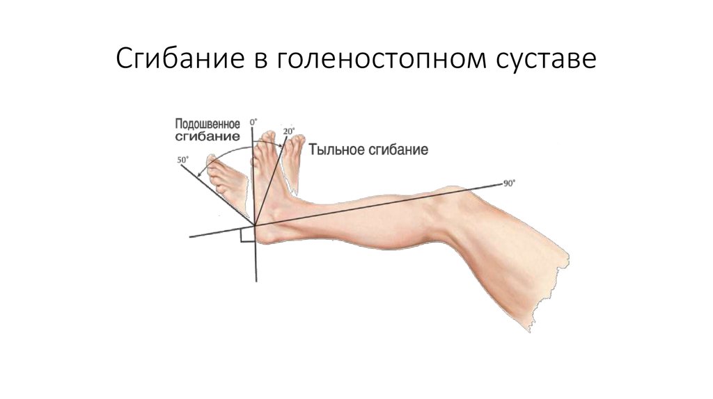 Подошвенное сгибание стопы