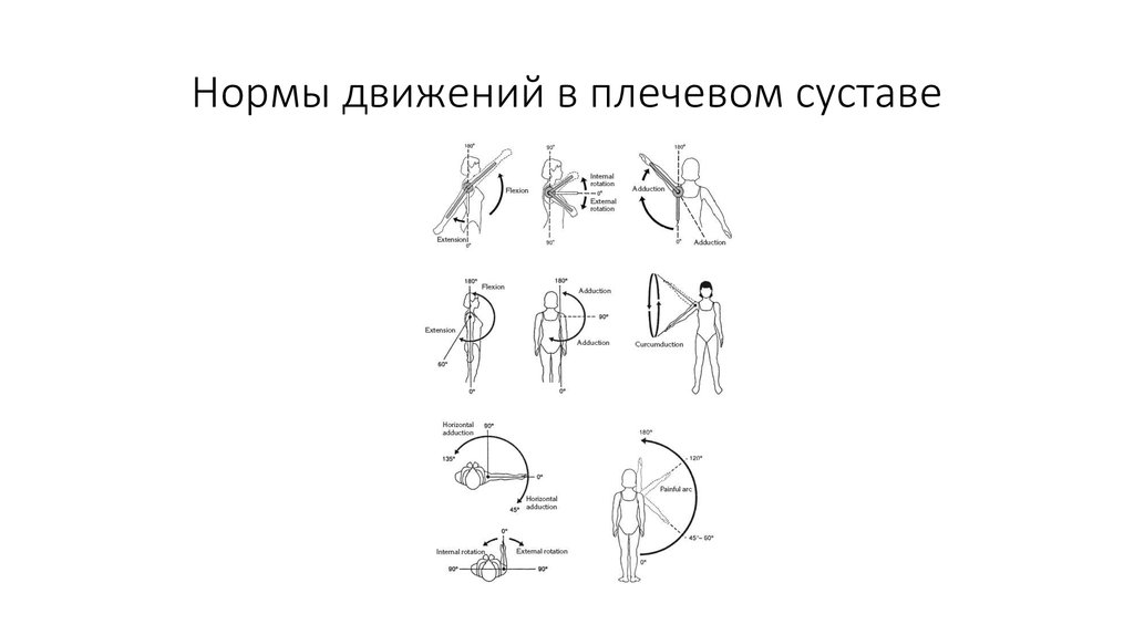 Движения в градусах. Оси движения плечевого сустава. Подвижность в плечевом суставе норма. Объем движений в плечевом суставе в норме. Угол отведения в плечевом суставе.