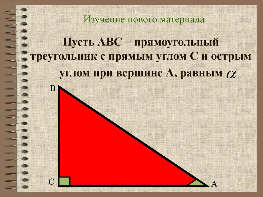 Пусть АВС – прямоугольный треугольник с прямым углом С и острым углом при вершине А, равным