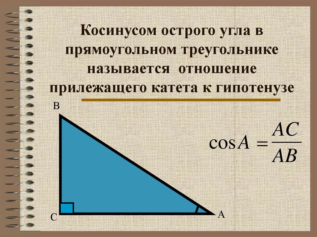 Косинусом острого угла в прямоугольном треугольнике называется отношение прилежащего катета к гипотенузе