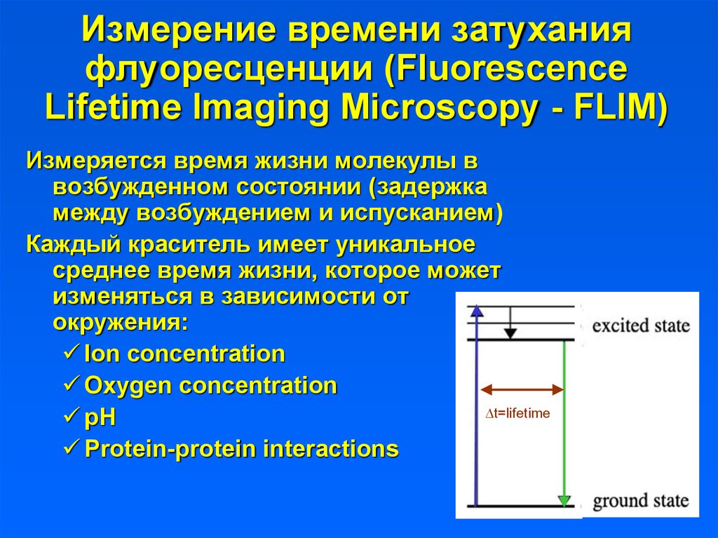 6 измерение. Время жизни флуоресценции. Времена затухания флуоресценция. Fluorescence Lifetime Imaging microscopy. Время жизни возбужденного состояния флуоресценции.
