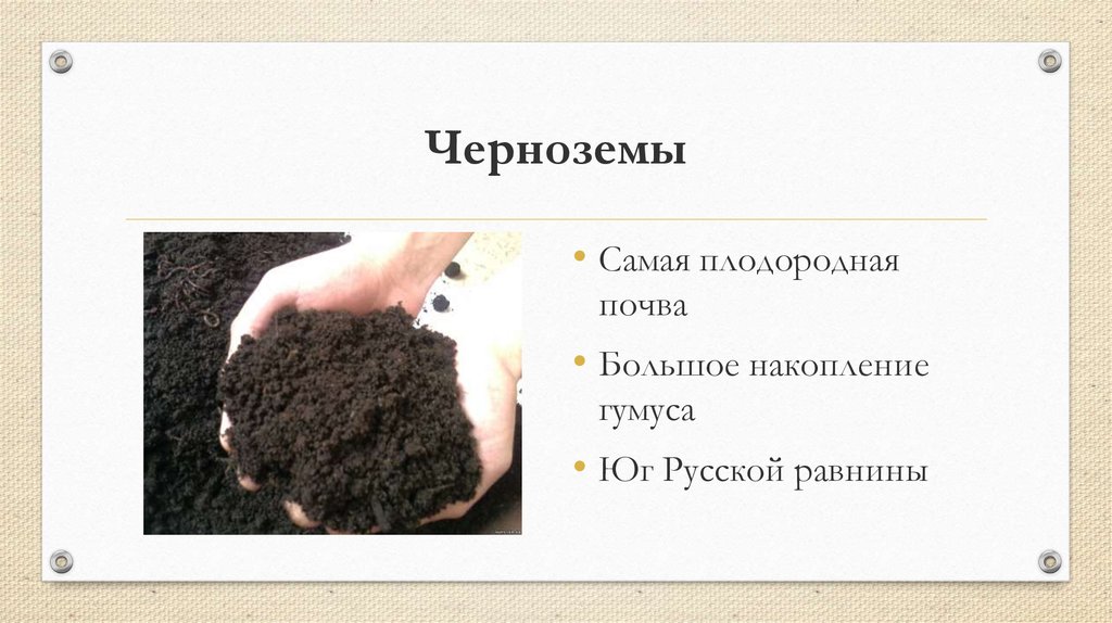 Какая почва менее плодородна. Чернозем самая плодородная почва. Чернозем в России. Черноземные почвы России. Плодородие чернозема почвы.