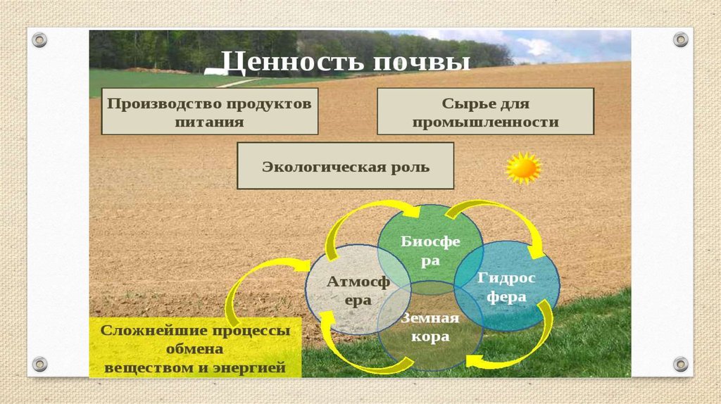 Почва является системой. Почвенные ресурсы России. Основные сельскохозяйственные почвы России. Почва презентация. Почвенно-земельные ресурсы.