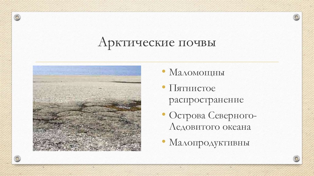 Почвы арктических пустынь в евразии. Тип почв арктических пустынь в России. Зона арктических пустынь почва. Арктические пустыни почвы. Тип почвы в Арктике.